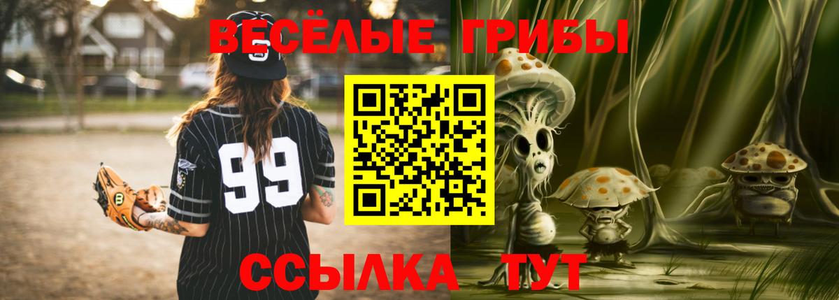 Обнинск  Псилоцибиновые грибы мицелий  Вход с VPN 